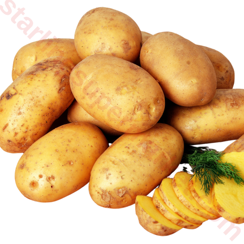 PATATES KIRMIZI TOPRAK KG