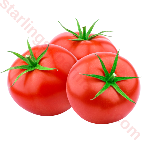 DOMATES AA KG