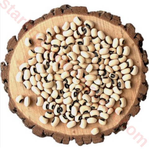 BOGRULCE LURICINA KG