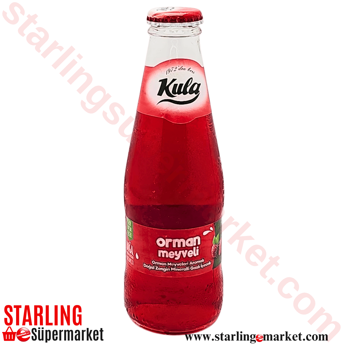 KULA MADEN SUYU ORMAN MEYVELI 200 ML