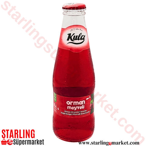 KULA MADEN SUYU ORMAN MEYVELI 200 ML