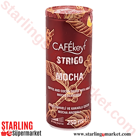 CAFEKEYF STRIGO SOGUK KAHVE MOCHA 250 ML