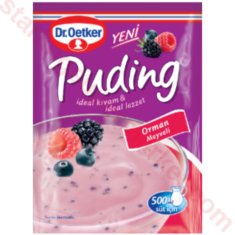 DR OETKER PUDING ORMAN MEYVELI 81 G