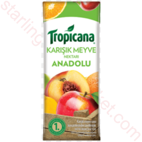 TROPICANA MEYVE SUYU KARISIK 200 ML