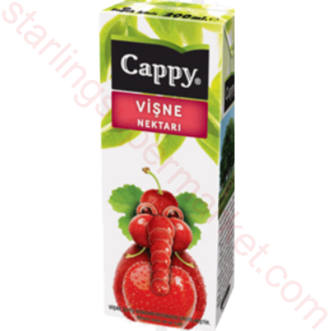 CAPPY MEYVE SUYU VISNE 200 ML