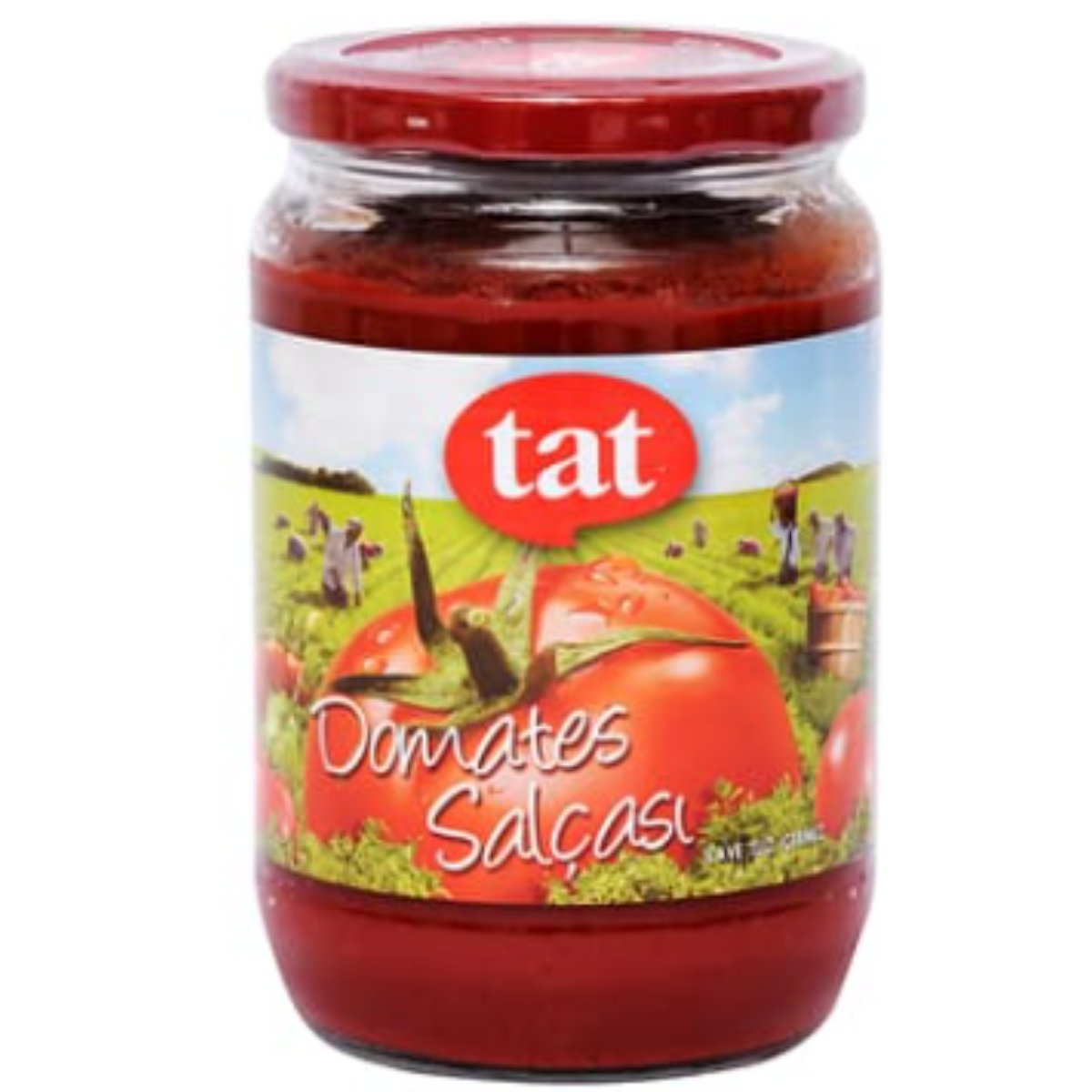 TAT DOMATES SALCASI CAM 710 G