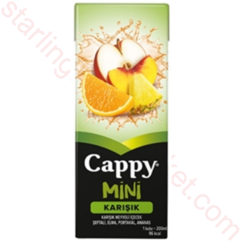 CAPPY MEYVE SUYU KARISIK 200 ML