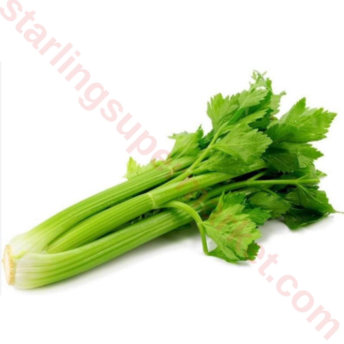 KEREVIZ YESIL