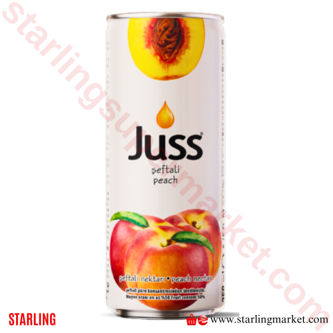 JUSS MEYVE SUYU SEFTALI KUTU 250 ML