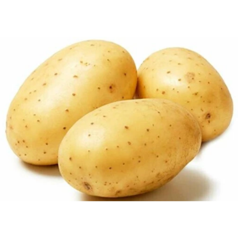 PATATES BEYAZ TOPRAK KG