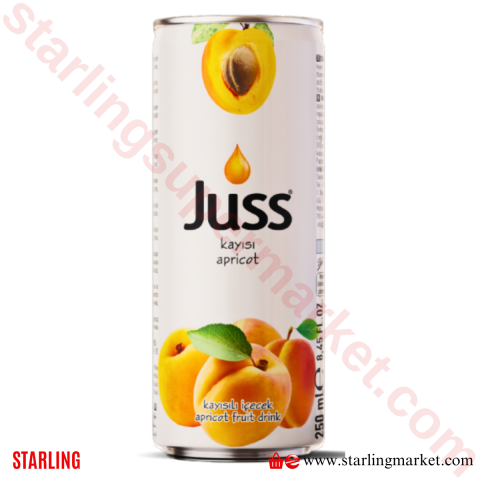 JUSS MEYVE SUYU KAYISI KUTU 250 ML