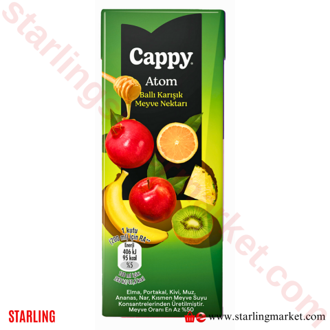 CAPPY MEYVE SUYU ATOM 200 ML