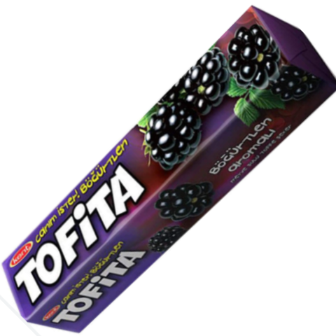 KENT TOFITA BOGURTLEN 47 G