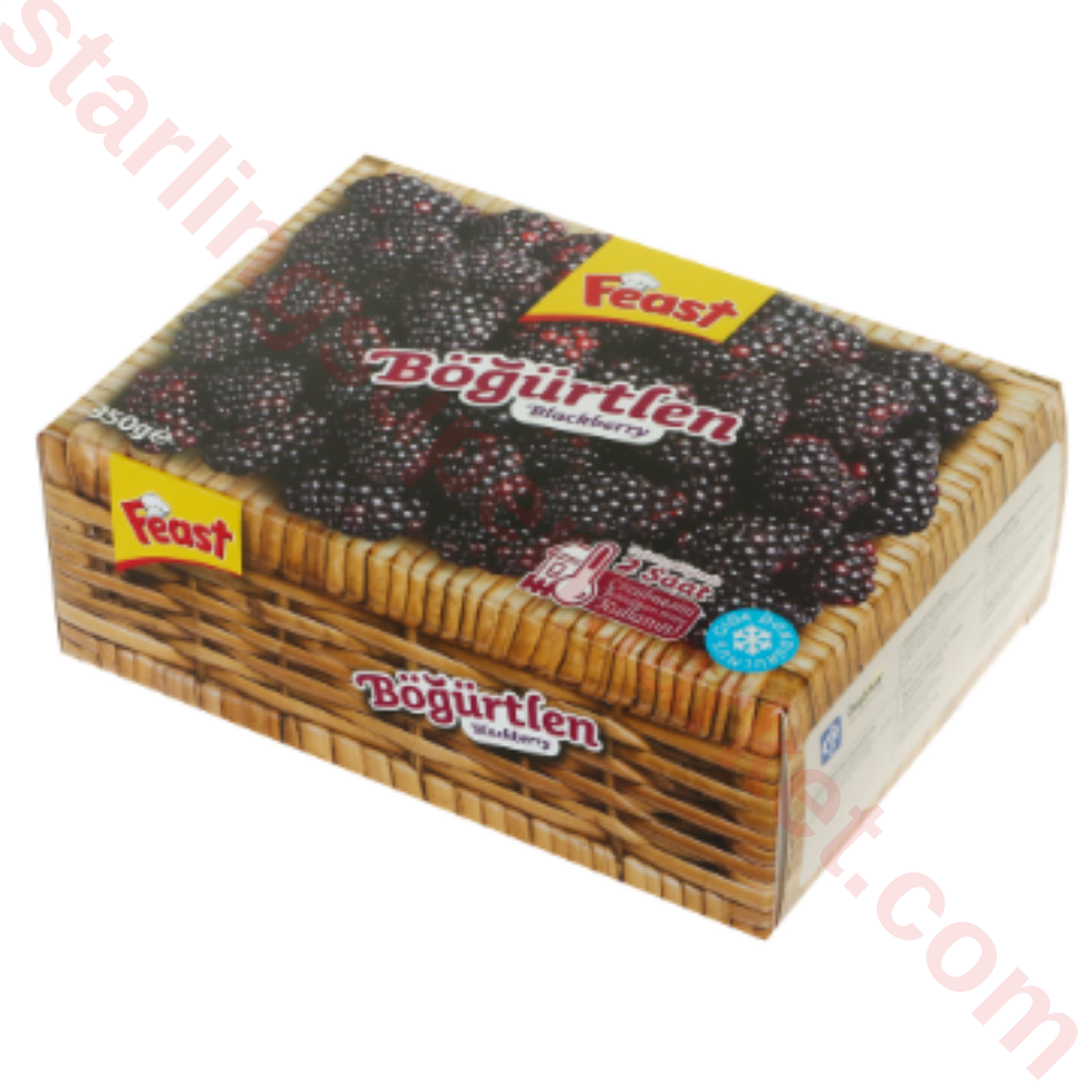 FEAST DONMUS BOGURTLEN 300 G