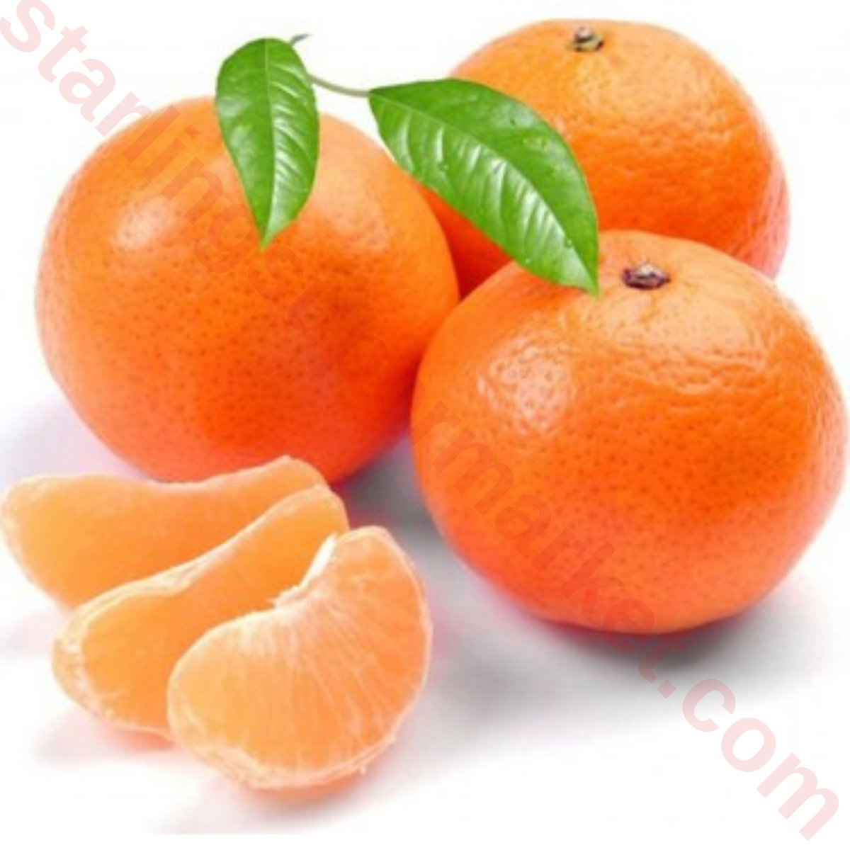 MANDALINA KLEMANTIN KG