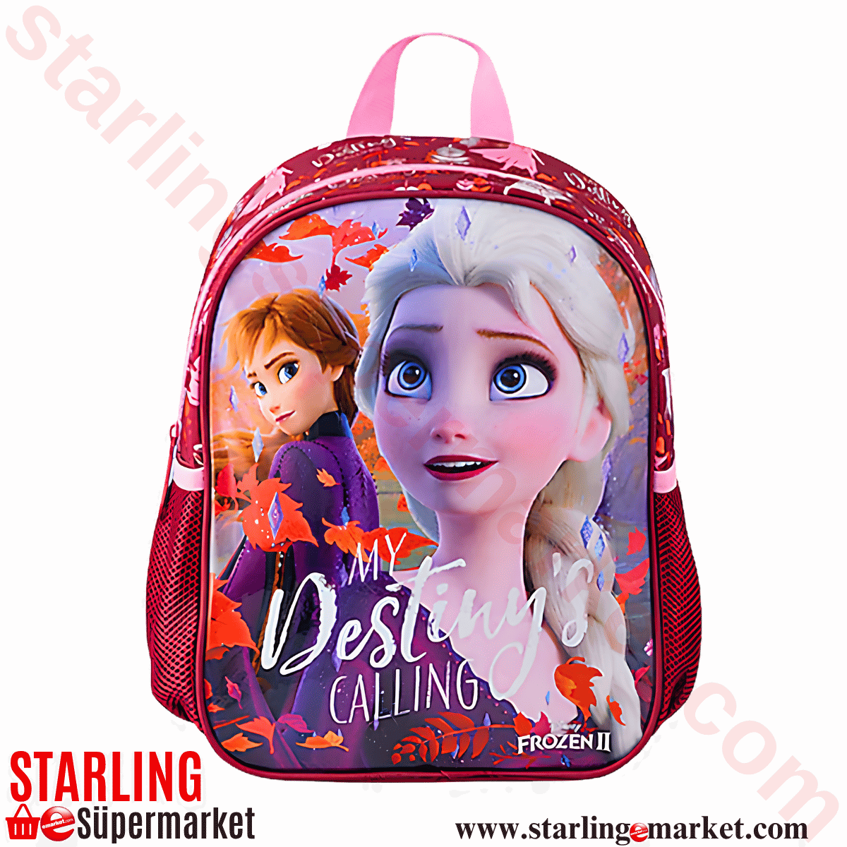CANTA FROZEN DESTINYS