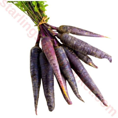 HAVUC SIYAH SALGAMLIK KG