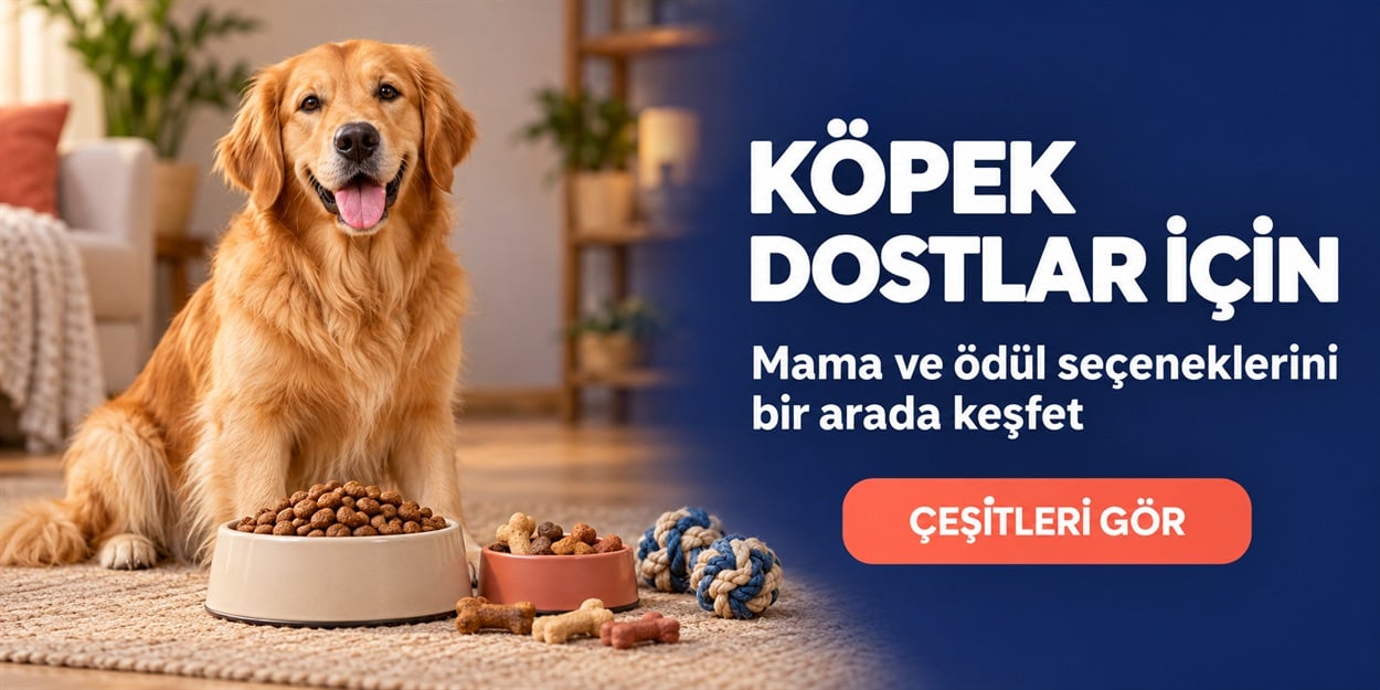 Köpek Dostları İçin